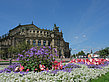 Fotos Semperoper mit Blumen | Dresden