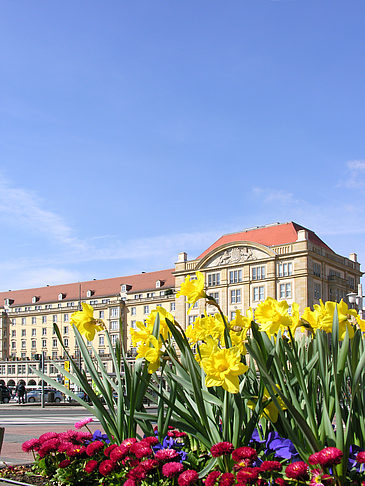 Altmarkt - Sachsen (Dresden)