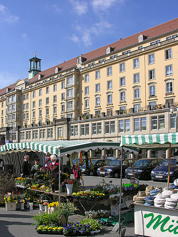 Galerie am Altmarkt Fotos