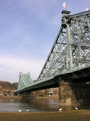 Foto Blaues Wunder - Dresden