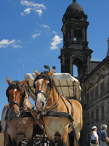 Foto Pferdekutsche - Dresden