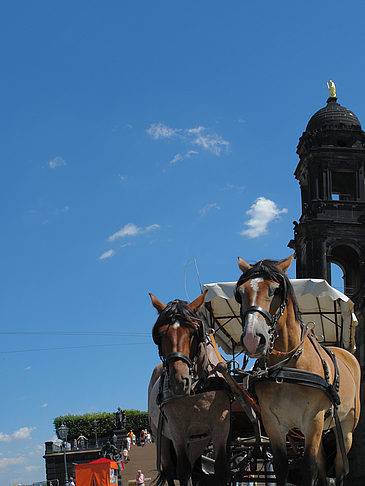 Fotos Pferdekutsche | Dresden