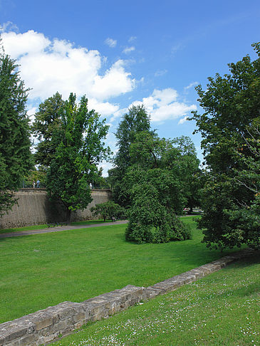 Foto Bärenzwinger - Dresden