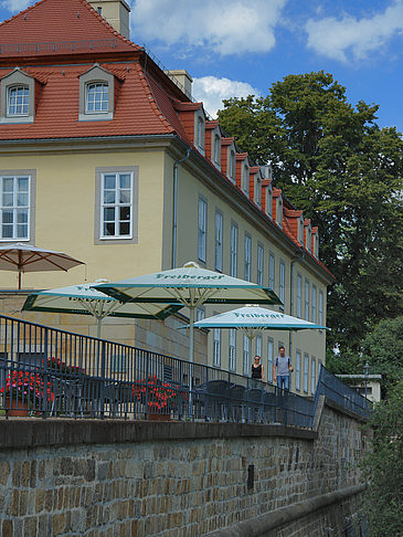 Foto Bärenzwinger - Dresden