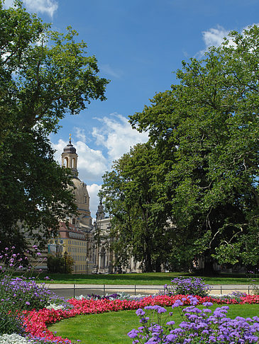 Fotos Brühlscher Garten