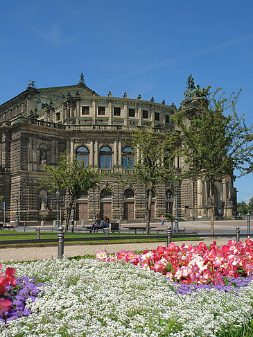 Fotos Semperoper mit Blumen | Dresden