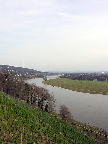 Elbe Fotos