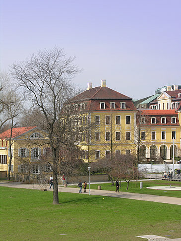 Westin Bellevue - Sachsen (Dresden)