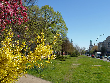 Frühling - Berlin