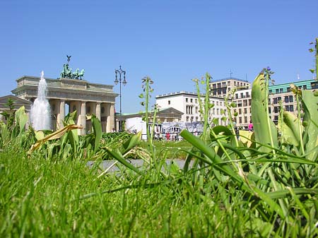 Pariser Platz - Berlin (Berlin)