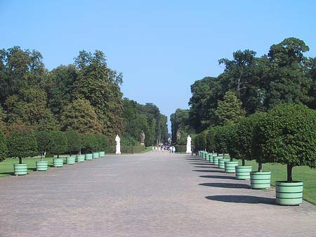 Sanssouci - Brandenburg (Potsdam)