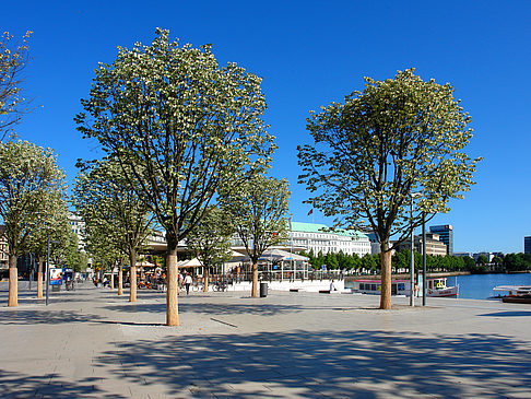 Alster Pavillon - Hamburg (Hamburg)