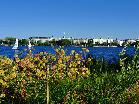 Foto Blick nach Osten von der Außenalster - Hamburg