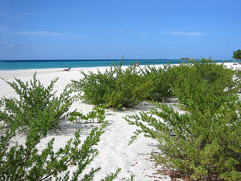 Foto Blick auf das Meer