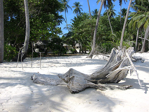 Foto Der weiße Sandstrand - 