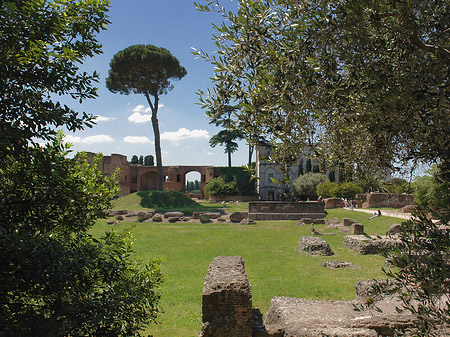 Domus Augustana und das Museo Palatino - Latium (Rom) (Rom)