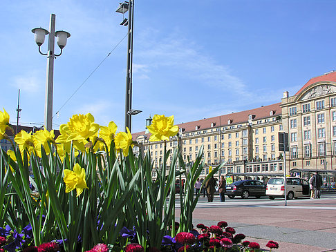 Fotos Altmarkt