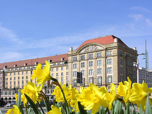 Fotos Altmarkt