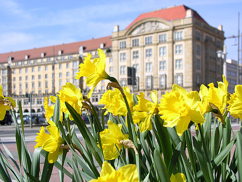 Altmarkt Fotos