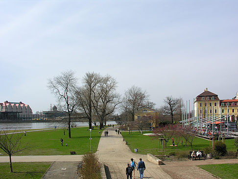 Bellevuegärten - Sachsen (Dresden)