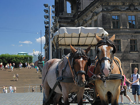 Foto Pferdekutsche - Dresden