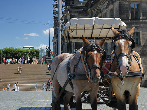 Foto Pferdekutsche