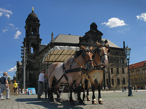 Foto Pferdekutsche - Dresden