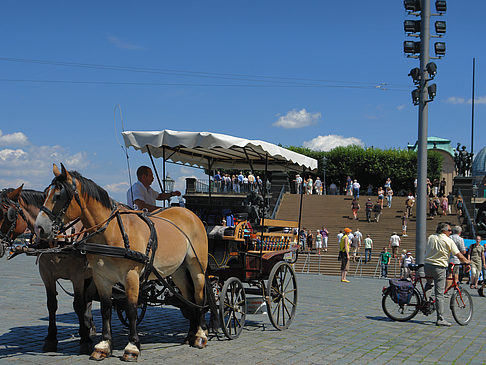 Fotos Pferdekutsche | Dresden