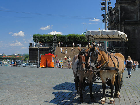 Foto Pferdekutsche - Dresden