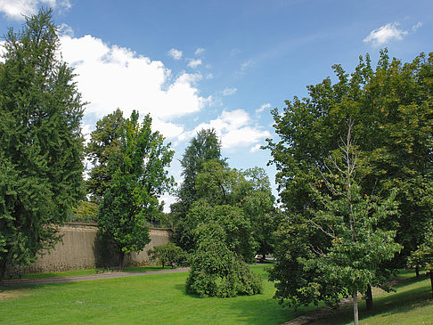 Bärenzwinger Foto 