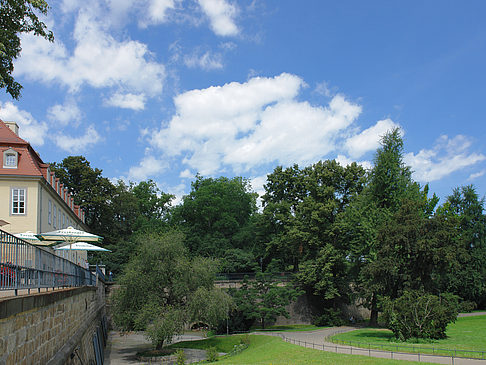 Foto Bärenzwinger - Dresden