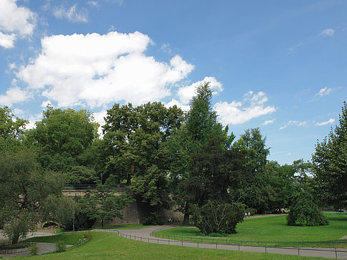 Foto Bärenzwinger - Dresden