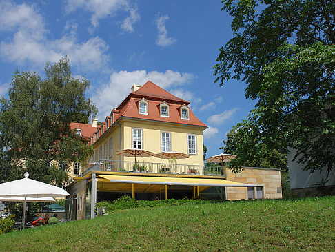 Foto Bärenzwinger - Dresden