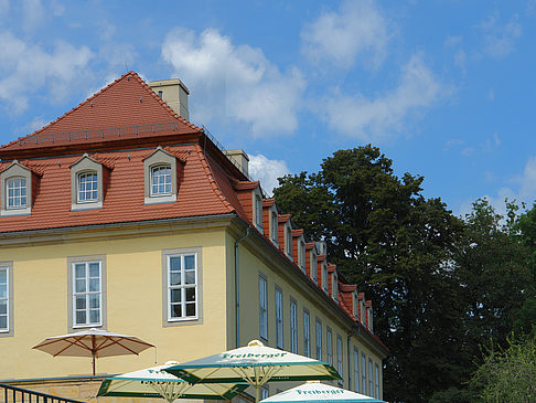 Foto Bärenzwinger - Dresden