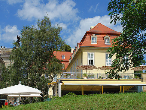 Foto Bärenzwinger - Dresden