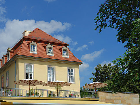 Fotos Bärenzwinger | Dresden