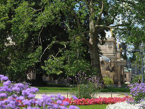 Fotos Brühlscher Garten | Dresden