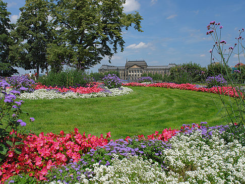 Foto Brühlscher Garten - Dresden