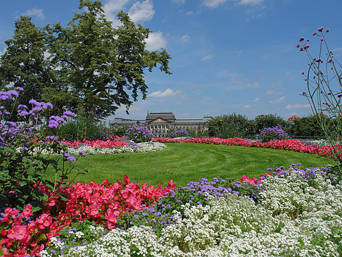 Fotos Brühlscher Garten | Dresden