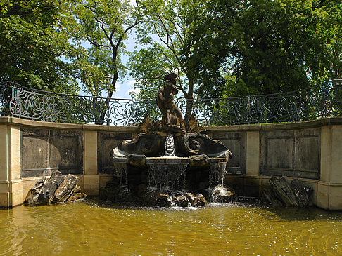 Foto Delphinbrunnen - Dresden