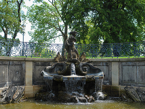 Delphinbrunnen Foto 