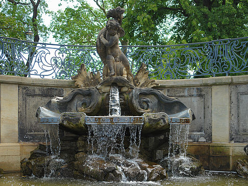 Foto Delphinbrunnen - Dresden