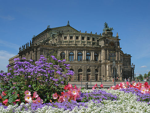 Semperoper mit Blumen Foto 