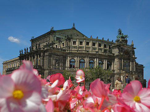 Fotos Semperoper mit Blumen | Dresden