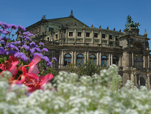 Fotos Semperoper mit Blumen | Dresden