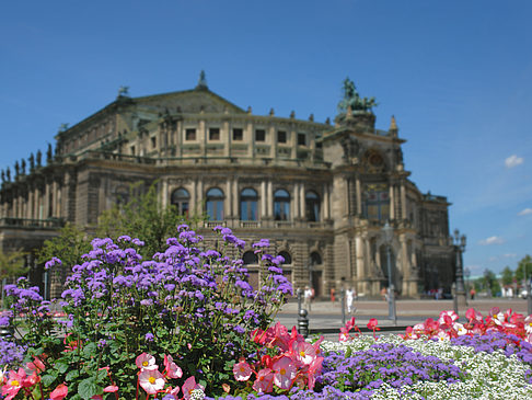 Fotos Semperoper mit Blumen | Dresden