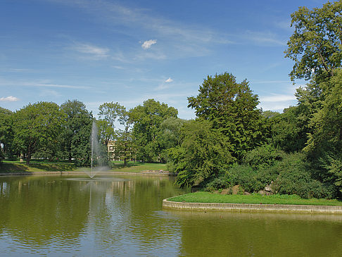 Springbrunnen