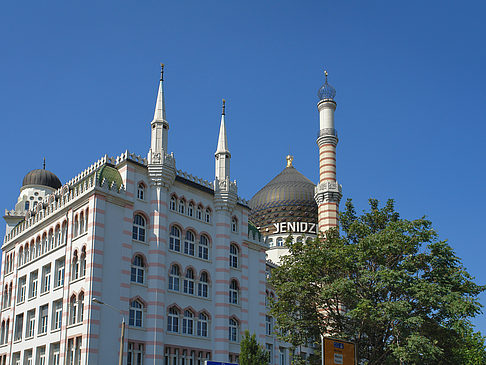 Froschperspektive - Sachsen (Dresden)