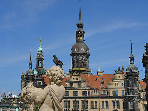 Foto Statuen - Dresden