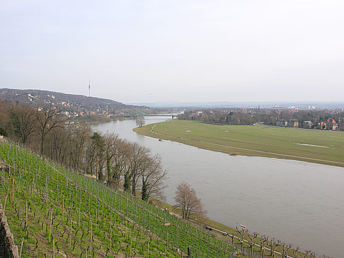 Elbe Foto 